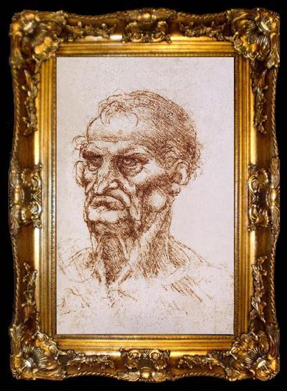 framed  LEONARDO da Vinci Study of an old man, ta009-2